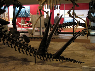 Illustration for article titled Random etymological fun fact: What do you call this part of a stegosaur's tail?